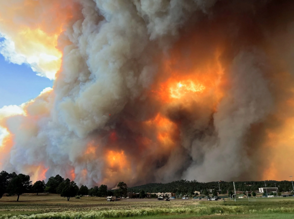 Cháy rừng tại bang New Mexico, Mỹ khiến 1.400 công trình bị phá huỷ